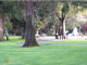 ﻿﻿McKenzie Park in Los Altos. Photo from the city of Los Altos website.