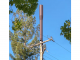 The city of Palo Alto is looking into regulations of small "node" antennas such as this one.