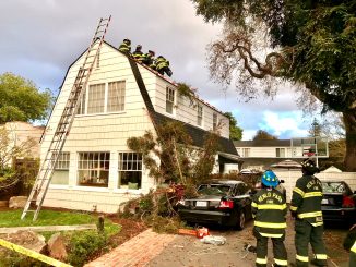 A large branch of a 130-foot redwood tree crashed through the roof of a home on Baywood Avenue in Menlo Park. Photo courtesy of the Menlo Park Fire Protection District.