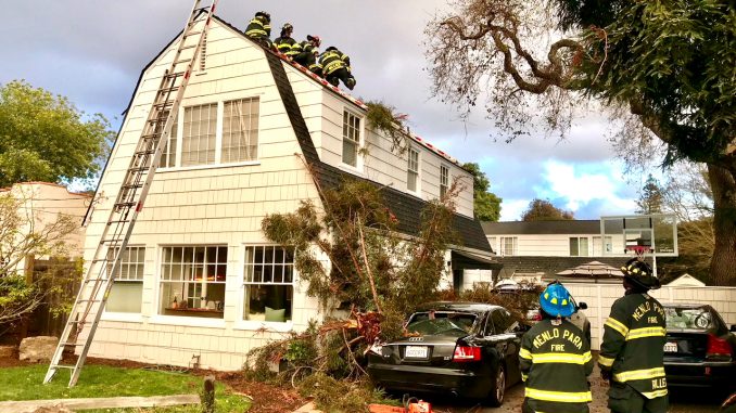 A large branch of a 130-foot redwood tree crashed through the roof of a home on Baywood Avenue in Menlo Park. Photo courtesy of the Menlo Park Fire Protection District.