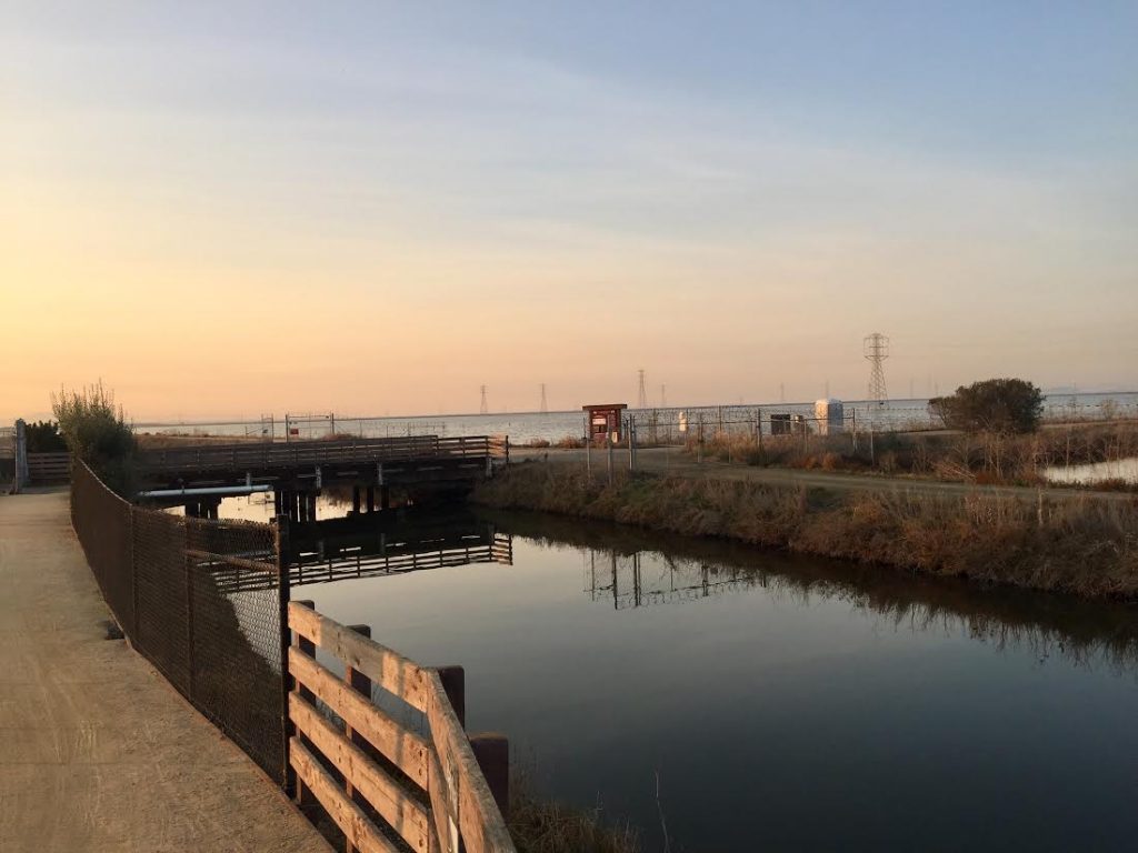 The body of of Chuchu Ma was discovered in this San Francisco Bay drainage ditch. Post photo by Allison Levitsky.