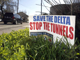In this Feb. 23, 2016, file photo, a sign opposing a proposed tunnel plan to ship water through the Sacramento-San Joaquin Delta to Southern California is displayed near Freeport, Calif. AP photo.