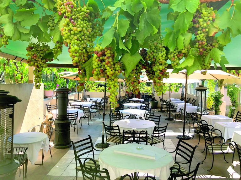 Perfect Venue For Your Graduation Party Palo Alto Daily Post