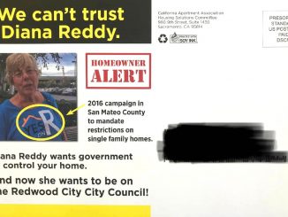 Redwood City council candidate Diana Reddy is objecting to this mailer sent out by the California Apartments Association, a landlord group.