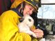 Mountain View Fire Engineer Alicia Bailey saved this bunny while opening walls to check for flame in buildings in Paradise. Photo courtesy of the Mountain View Fire Department.