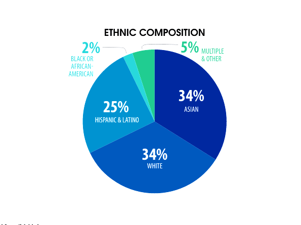 Racial Composition Palo Alto Daily Post