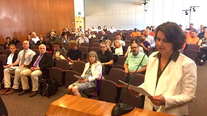 Stanford Associate Vice Chancellor Catherine Palter addresses the Santa Clara County Planning Commission in San Jose on Thursday (June 13). Post photo.