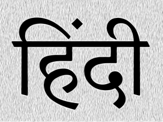 The word "Hindi" in Devanagari script.