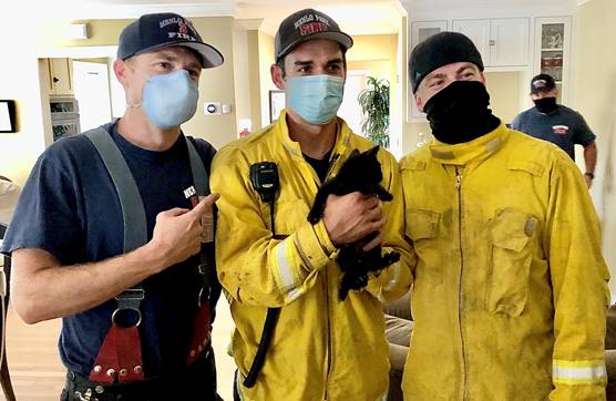 mpfpd cat rescue