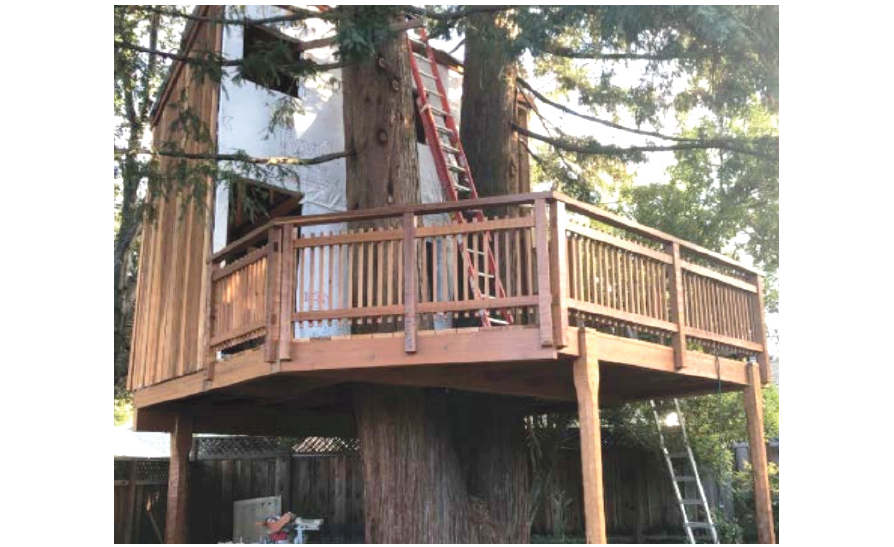 tree house Palo Alto Daily Post