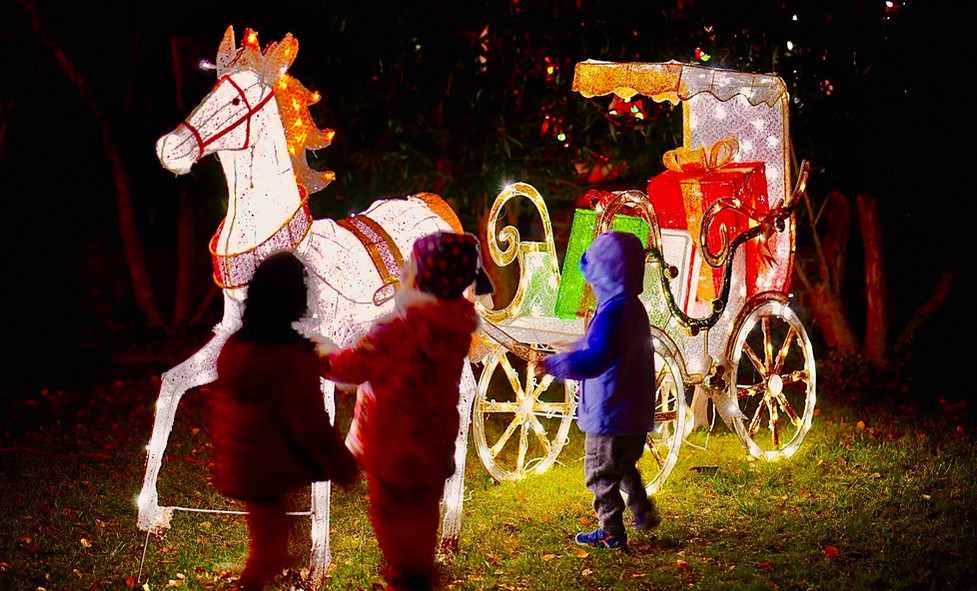 Palo Alto Christmas Tree Lane 2022 Christmas Tree Lane, A Palo Alto Tradition, Continues Through Dec. 31 – Palo  Alto Daily Post