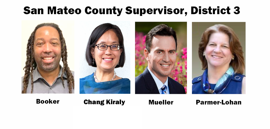 Mueller leads in fundraising in county supervisor race - Vimarsana News