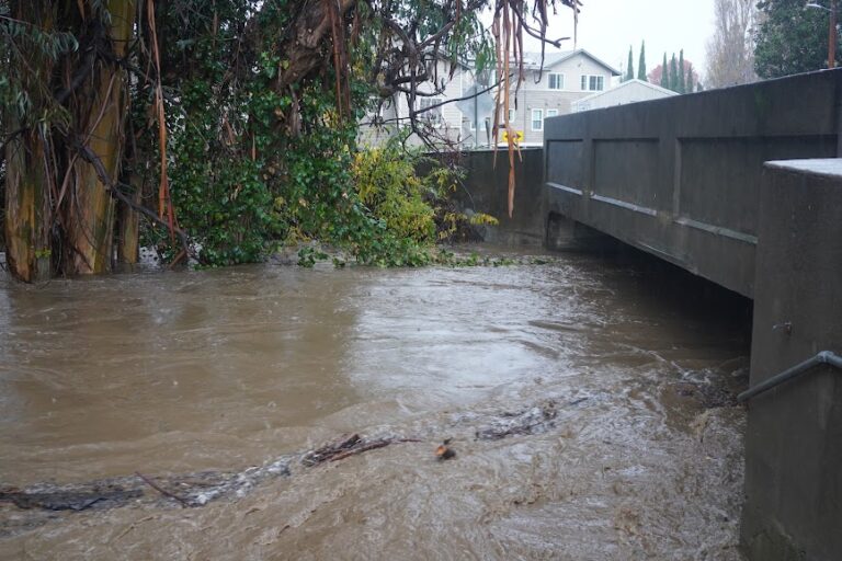 Pope-Chaucer bridge clogged, resulting in flooding – Palo Alto Daily Post