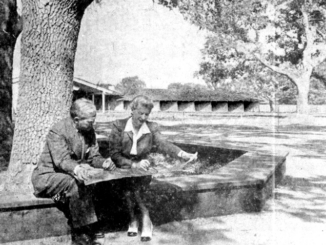 The Sunset campus in 1951. Photo from the Palo Alto Times.