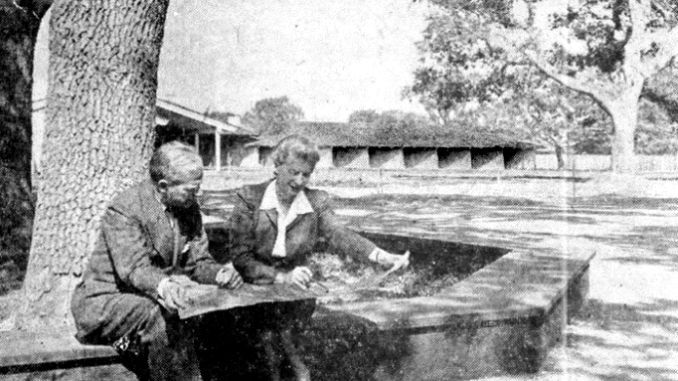 The Sunset campus in 1951. Photo from the Palo Alto Times.